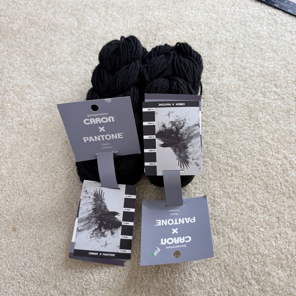 Caron X Pantone Yarn Black Raven 127 yards Yarnspirations NWT‎ Lot of 2